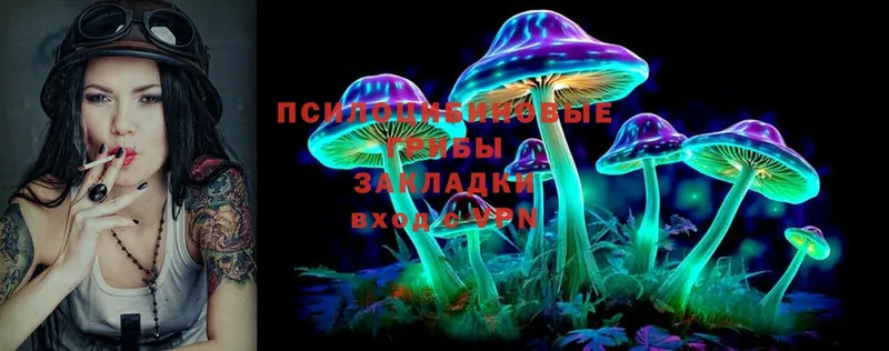 mega   Вилючинск  это как зайти  Галлюциногенные грибы Cubensis 